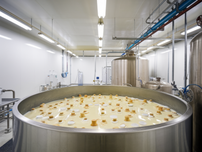 Wie skaliert man eine lebendkultur-fermentation von pilot- auf linienproduktion für joghurtalternativen, ohne sensorische verluste und mit klaren qualitätschecks